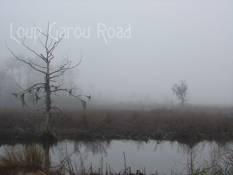 Fog on Bayou Paquet 1