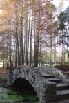 Stone Bridge